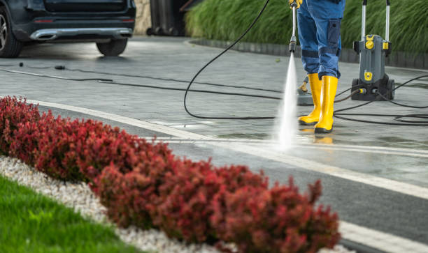 Best Soft Washing for Delicate Surfaces in Pegram, TN